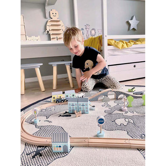 Train Set